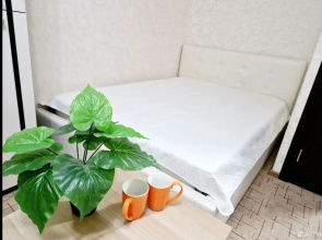 U Zaliva Flat