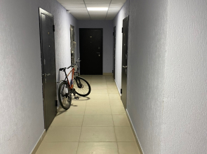 Апартаменты Орел-Изумруд