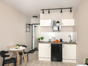 Апартаменты TopHouse на Калинина 105, 8