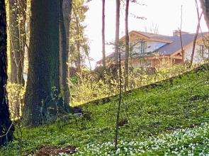 Отель Ruza Forest