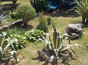 Частный дом Dali