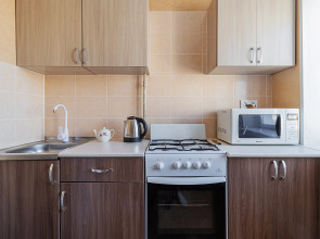 Апартаменты двухкомнатные Stepanenkov на Максима Горького 76