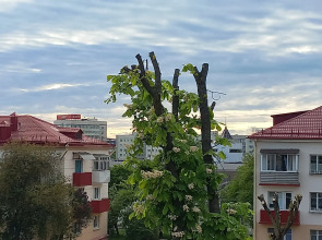 Квартира Студия Гродно