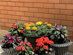 Апартаменты  в новом частном трехэтажном доме