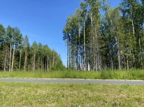 Апартаменты двухкомнатные Hygge Karelia Linty в эко районе