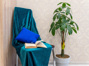 Квартира Райдас на Чапаева 59