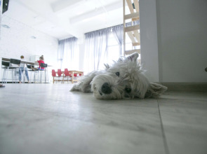 Хостел Bla Bla  Rostov