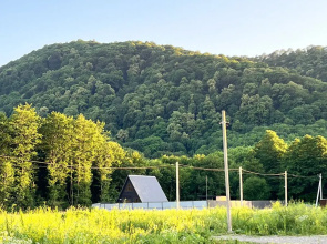 Частный дом A-frame Villa Vld