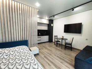 Domus Dom Belgrad Minsk Mir Flat