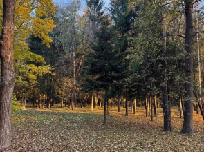 Апартаменты в ЖК Парк Челюскинцев