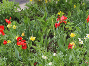 Апартаменты Веселая студия "Оранжевое настроение"