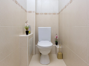 Квартира Райдас на Нежнова 21-3 1