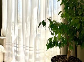 Апартаменты Двухкомнатные недалеко от вокзалов Sinyaya ptichka