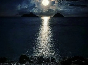 Квартира Море из окна