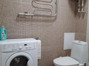 Апартаменты Рыжий Кот Дружный