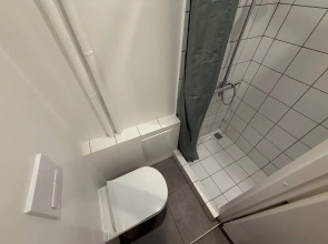 Меблированные комнаты Зубовском (1)