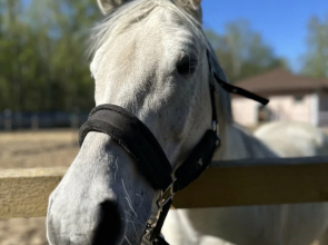 Апарт-отель Комплекс здоровья и отдыха Коверши