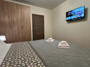 Апартаменты Однокомнатная квартира на Московской, 101