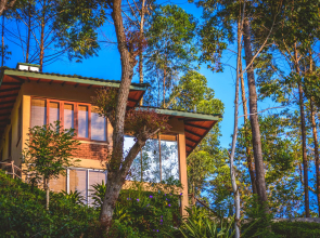 The Tea Cottage Resort & Spa