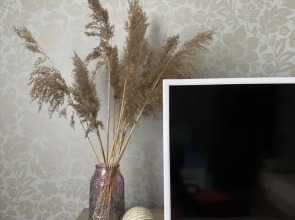 Квартира у зоопарка