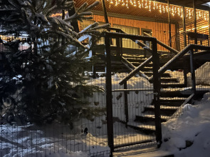 Частный Дом Champion House Dacha