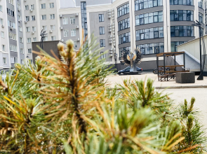 Квартира Sunny Flat Samara