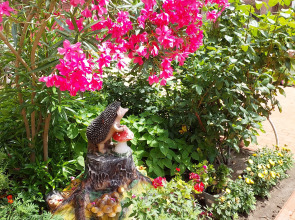 Гостевой Дом Отдых у Александра