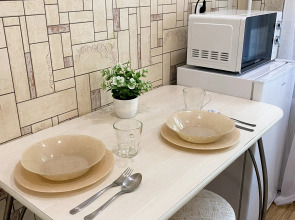 Апартаменты Квартира у ДС Торпедо на Чкалова