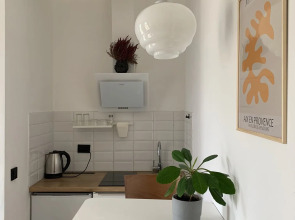 Апартаменты 1 на Рубинштейна 36