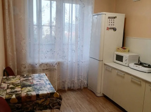 Апартаменты на улице Бабушкина 99