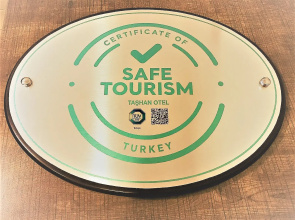 Отель Bakirkoy Tashan Business& Airport Hotel