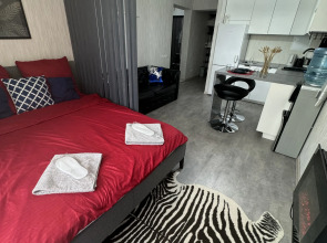 Квартира Студия с камином у парка