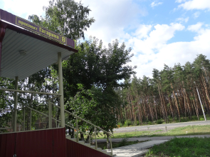 Отель Золотая рыбка