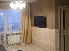 Апартаменты on Chapaeva ECOSTYLE XL