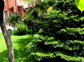 Апартаменты Green Garden