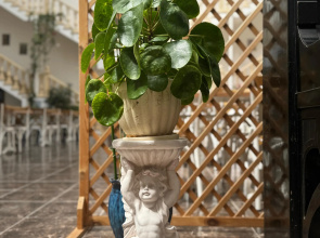 Lucette Guest House