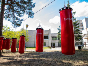 Отель Сосновый бор