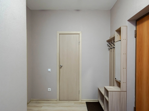 Апартаменты Cosmos Apart на Революции 48А (1)