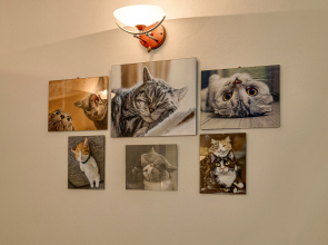 Квартира в самом центре Москвы