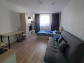 Апартаменты у Аэропорта Dream House