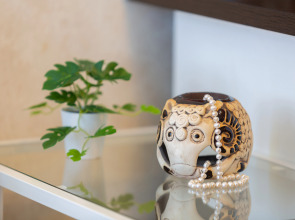 Апартаменты Новая студия на Лядова