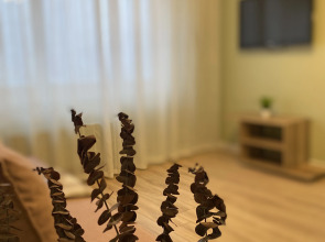 Квартира Студия в Стиле Прованс 2+2 Новопатрушево