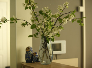 Хостел Три Матрёшки