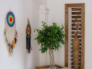 Отель Costa Maya