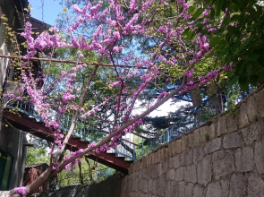 Na Pereulke Sverdlova Hostel