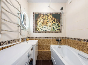 Апартаменты Яр-сутки на Московском 159