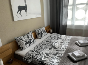 Апартаменты NewStory