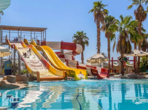 Amphoras Aqua Adults Friendly