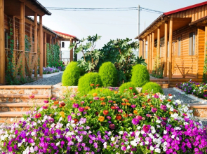 Novyij Okean Hotel