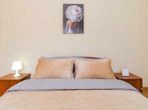 Апартаменты идеальные для большой компании в центре